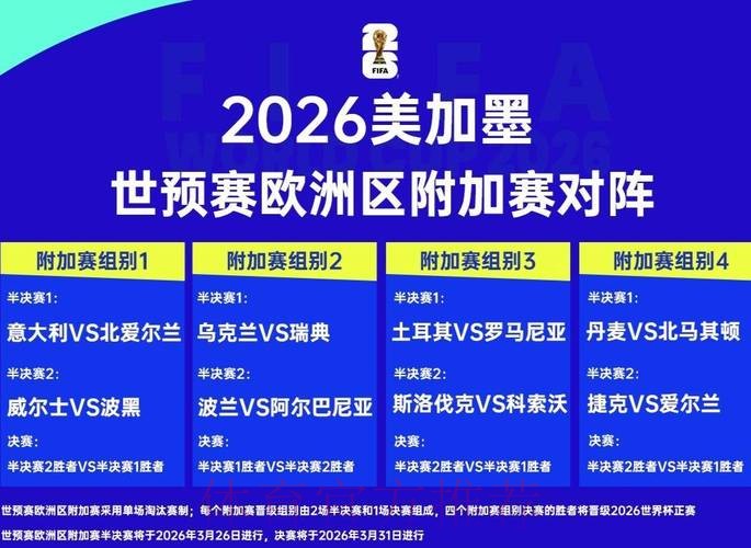 2026世界杯外围赛高清直播解析